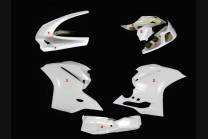 carenado Ducati 1299 959 Panigale sin guardabarros colin Silenciador Akrapovic - MXPCRD5899 2