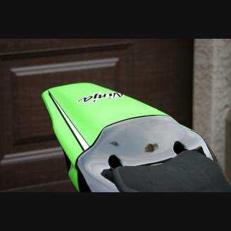 Carene Racing Verniciate Kawasaki Zx10R 2016 - 2020 - MXPCRV5986