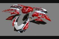 Carenado Racing Pintado Ducati 1199 899 Panigale - MXPCRV6018