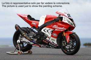 Carene Racing Verniciate Bmw S1000 RR 2009 - 2014 - MXPCRV6035