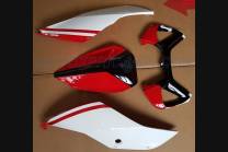 Lackierte Straße Verkleidung auf ABS kompatibel mit Ducati 899 1199 Panigale - MXPCAV6816 2