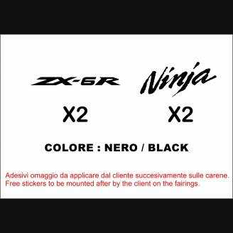 Carenage en abs pour la roue avec peinture compatible avec Kawasaki ZX6R 636 2005 - 2006 - MXPCAV6849
