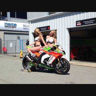 Carene Racing Verniciate Kawasaki Zx10R 2016 - 2020 - MXPCRV6903